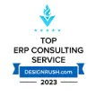 top erp consulting services